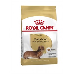Royal Canin Dachshund/Teckel Adult