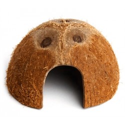 Komodo Coconut Den
