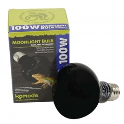 Komodo Nachtgloed Lamp Es